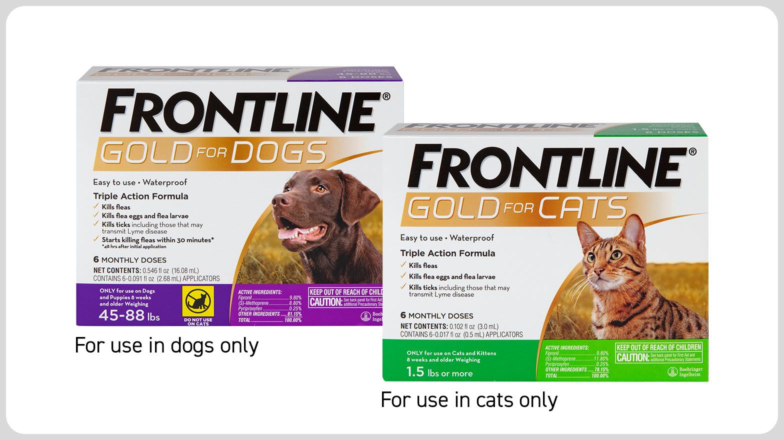 FRONTLINE Gold for Dogs or Cats