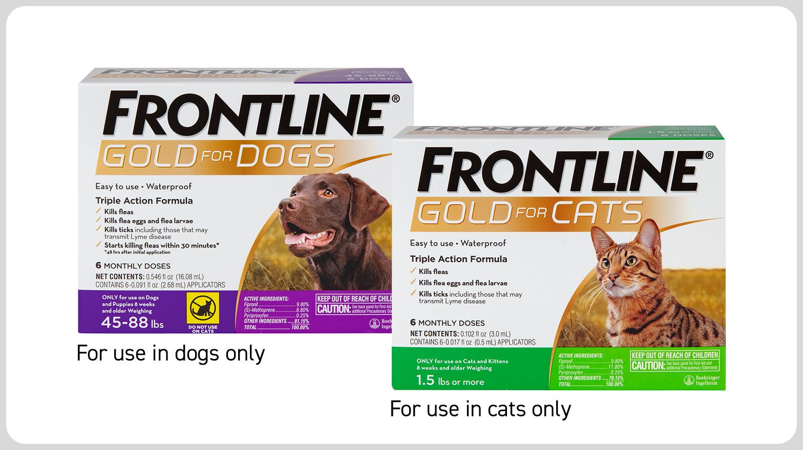 Cost of frontline for dogs hotsell