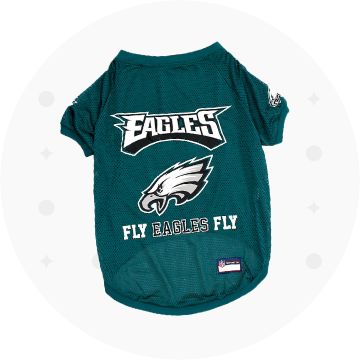 Eagles jersey