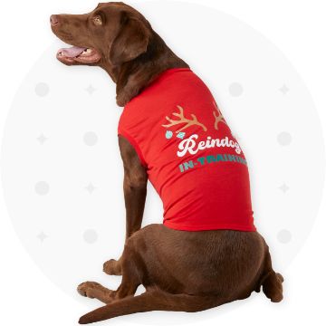 Louisville Cardinals Dog Jersey-University of Louisville Sports Shirt for  Pets-Small, Medium, and Large