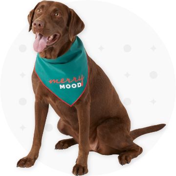 Louis Pup Made Jumper | Paws Circle | Designer Dog Apparel Navy / 3XL