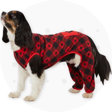 Dog Clothes, Shoes, Apparel & Accessories