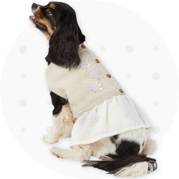 Petsmart surgical clearance suit