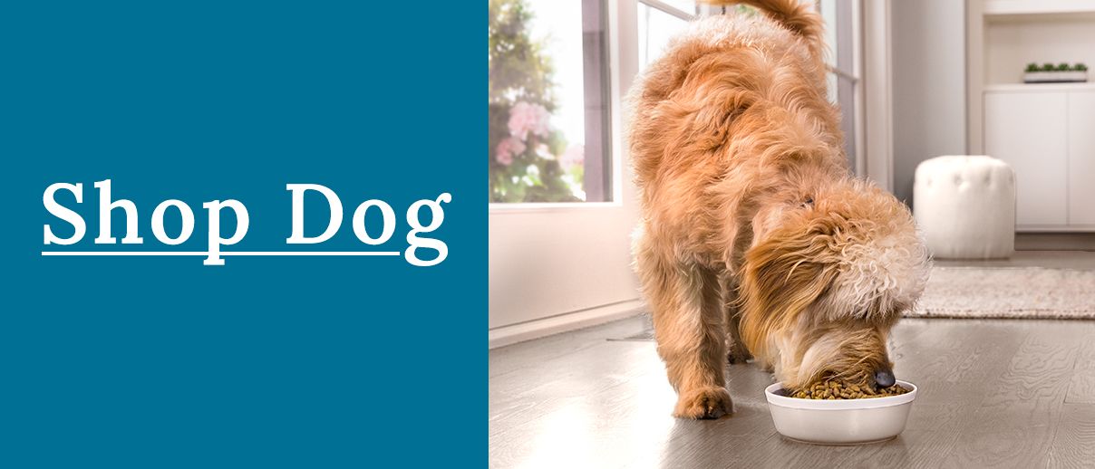 shop dog with image of dog eating from food bowl 