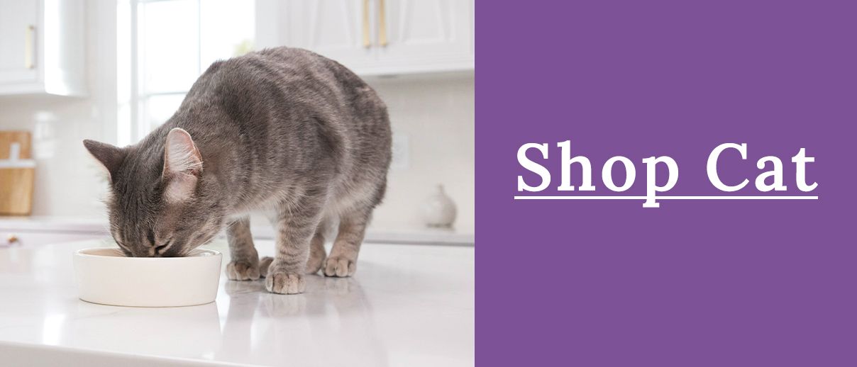 Shop cat with image of cat eating from food bowl