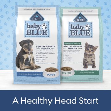 Petsmart blue 2024 buffalo basics