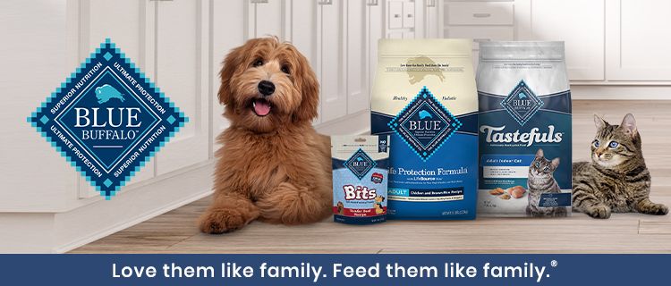 Feed wholesome recipes with BLUE. Image of Dog and Cat sitting next to Blue Buffalo dog and cat food