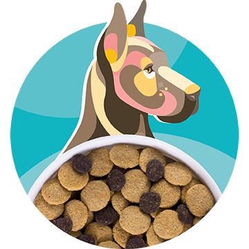 Solid Gold Love At First Bark Chicken, Sweet Potato & Apple Grain Free Dry  Puppy Food, 24 lbs.