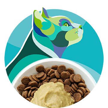 Solid Gold Nutrient Boost Wee Bit, Bison Recipe, Dry Dog Food