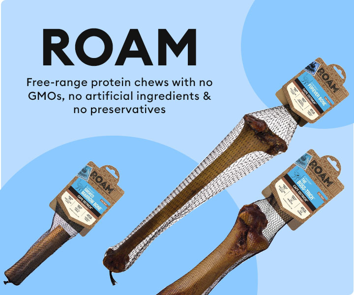 Are Roam Ostrich Bones Safe For Dogs
