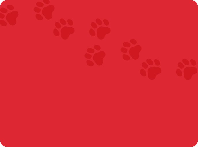 Red banner with pawprints