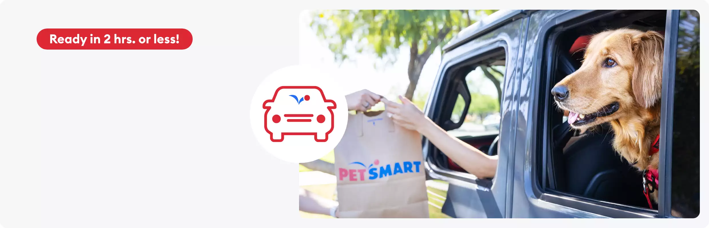 Curbside Pickup icon and a golden retriever looking out an open car window as a pet parent receives a PetSmart shopping order