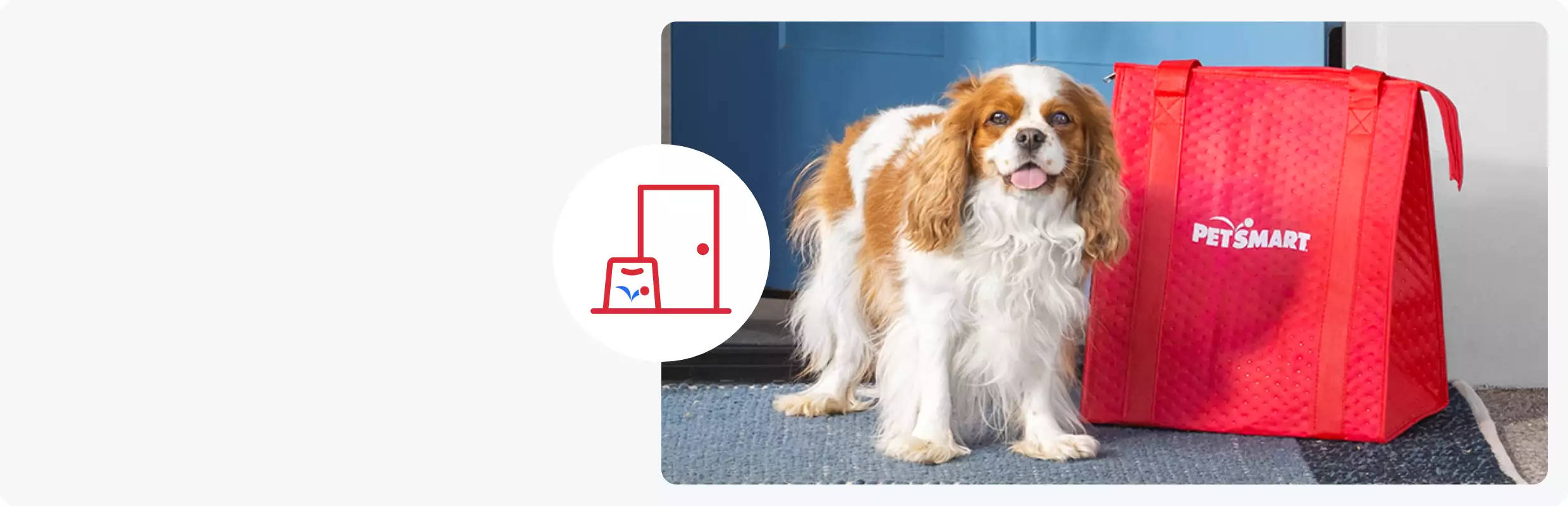 Dog standing next to a PetSmart delivery bag and a Same-Day Delivery icon