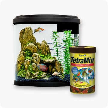 Mini Aquariums: Good Things Come in Small Packages