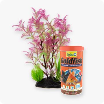 Live Pet Fish China Trade,Buy China Direct From Live Pet Fish Factories at