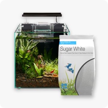 Small Aquarium Fish Tank 2024