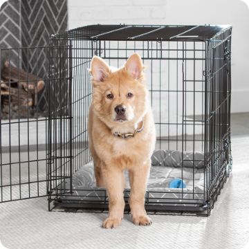 Buy a Dog Crate So Pretty You'll Want to Display It