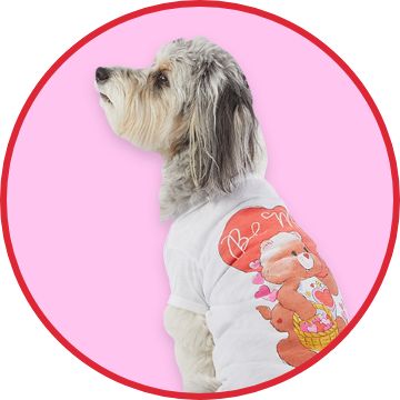 https://s7d2.scene7.com/is/image/PetSmart/WEB-2143800-Jan24_6TU4_V-Day_DT