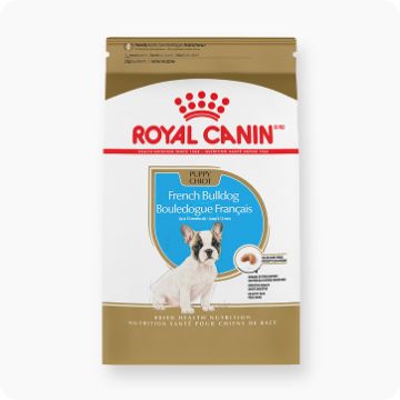 .com: Dog Food Station - Today's Deals / Dog Feeding & Watering  Supplies / Dog Supplie: Pet Supplies
