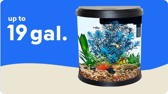 Petsmart aquariums and stands best sale