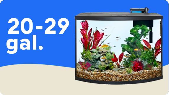 Dollar a gallon sale petsmart hotsell