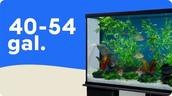 Fish Tanks Bowls Aquariums PetSmart