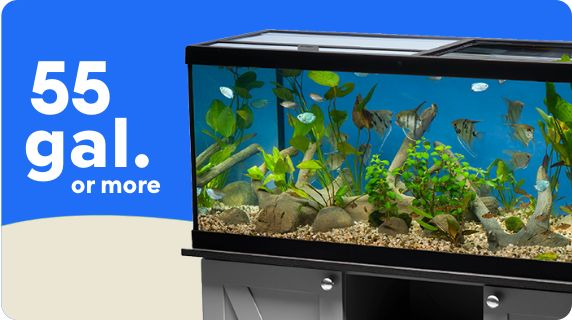 10 gallon fish tank petsmart best sale