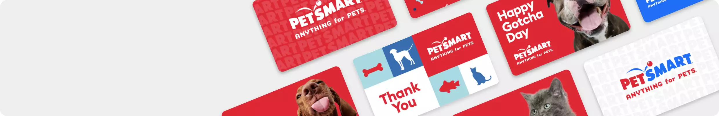 An assortment of PetSmart gift cards