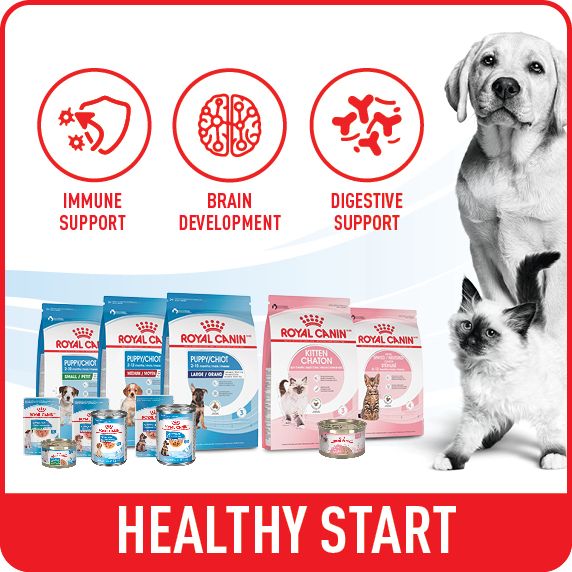 Petsmart royal canin puppy best sale