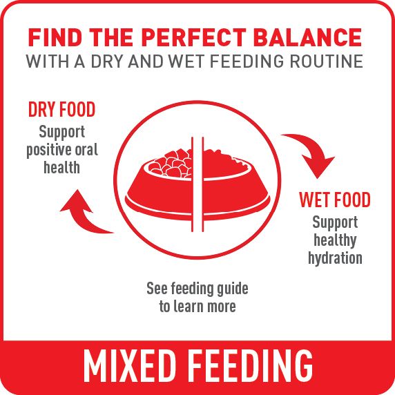 Mixed feeding. Bowl of wet & dry food icon.