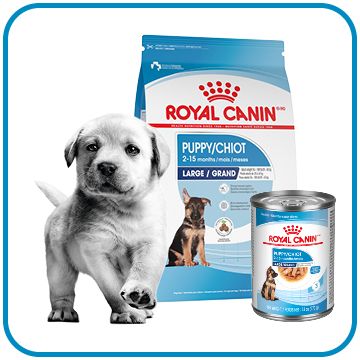 Buy Royal Canin Dog Food Recovery online