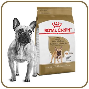 Dog with Canine Breed diets dry dog food