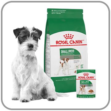 Dog with Canine Size Health Nutrition dog wet & dry food