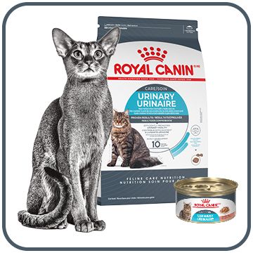 Royal Canin Pet Food PetSmart