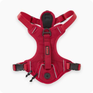 Collars, harnesses and leashes