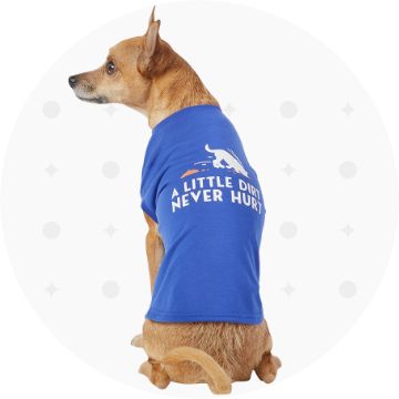 Dog wearing a blue t-shirt
