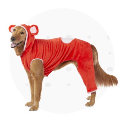 Dog wearing red pajamas