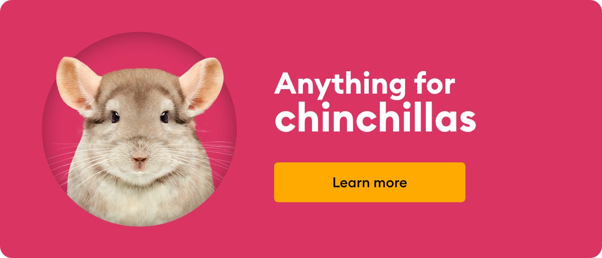 Featured Brands Chinchilla PetSmart