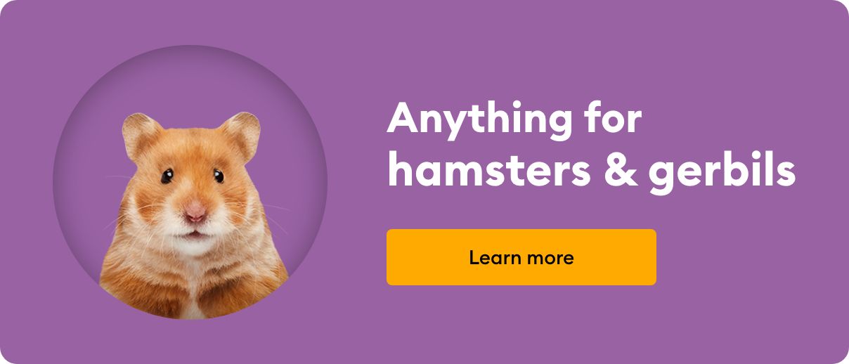 Anything for hamsters & gerbils