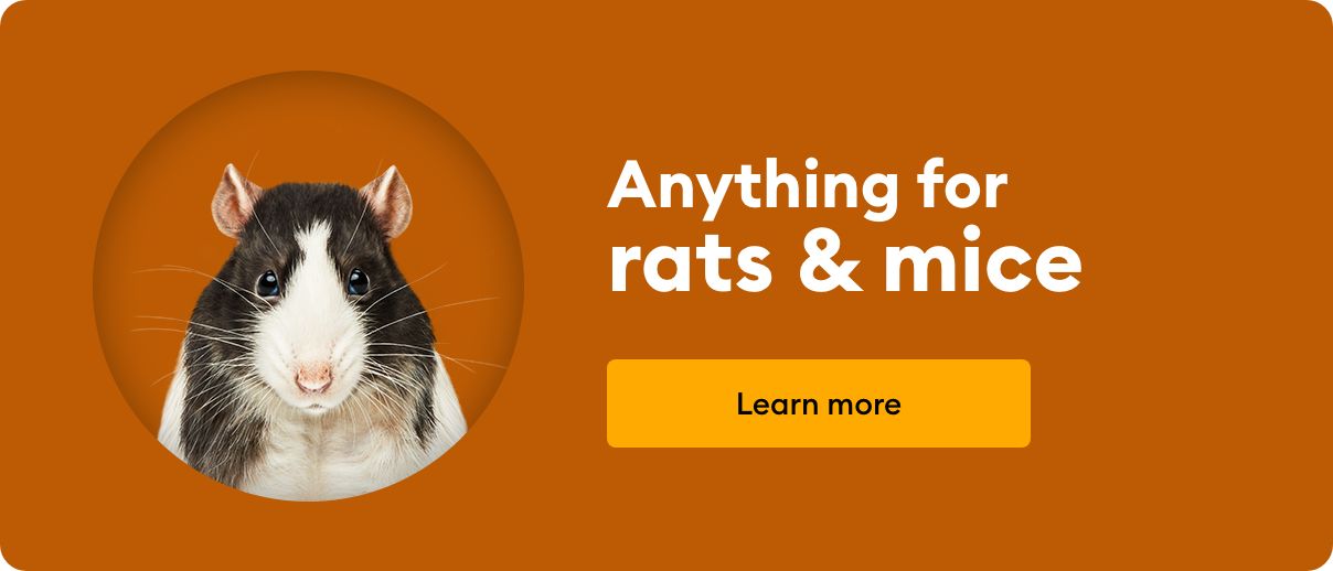 Featured Brands Rat Mouse PetSmart