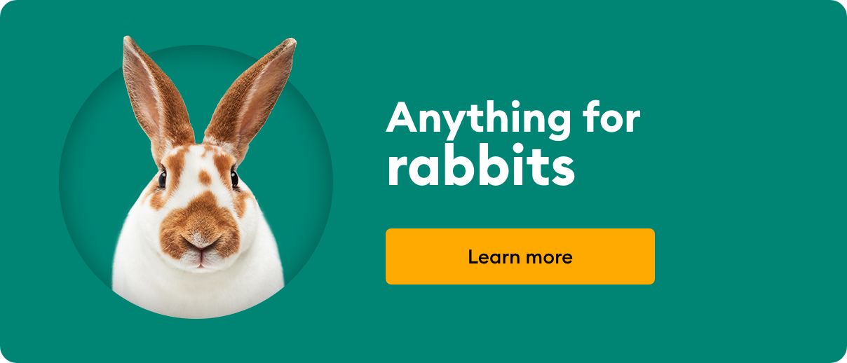 Featured Brands Rabbit PetSmart