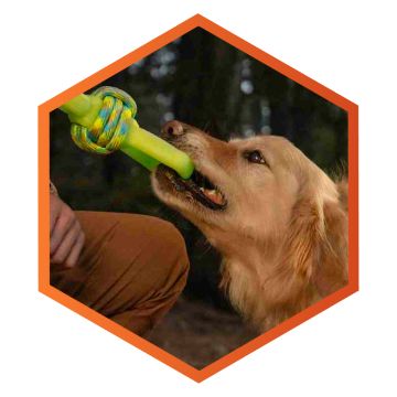 Dog mosquito repellent clearance petsmart