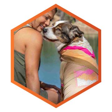  Dogs: Pet Supplies: Apparel & Accessories, Collars, Harnesses &  Leashes, Beds & Furniture & More