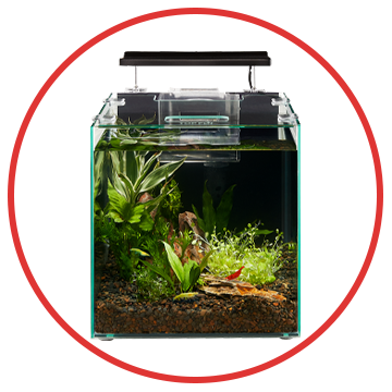 Shrimp Tank Starter Kits