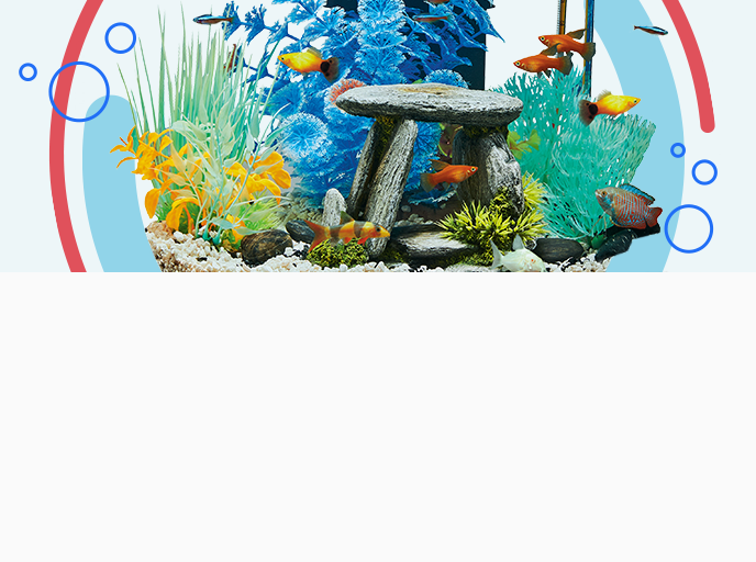 Fish tank accesories with orange fish swimming