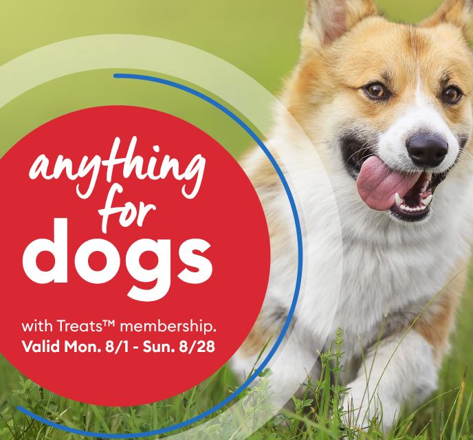 Anything for dogs sale on now through 8/28