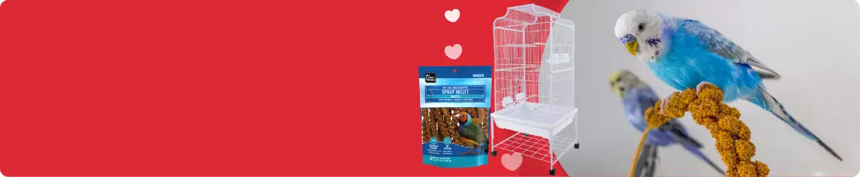 Bird Food, Treats & Pet Birdseed | PetSmart