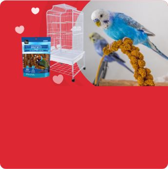 Two birds sitting on a branch next to an image of a white bird cage and bird treat bag
