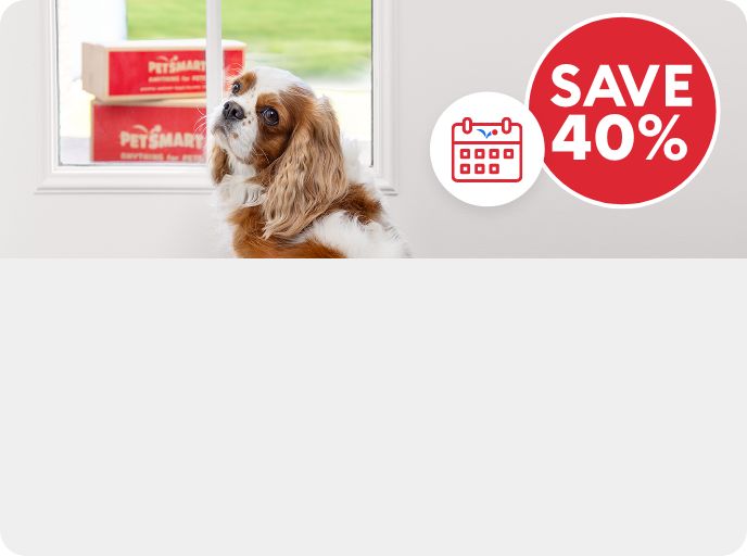 Save 40% callout, Autoship icon and a dog standing by a window with PetSmart shipping boxes outside