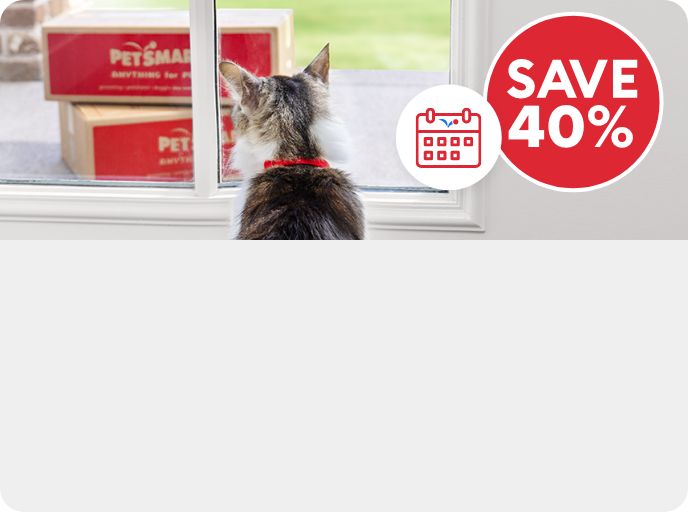 Save 40% callout, Autoship icon and a cat looking outside a window at PetSmart shipping boxes
